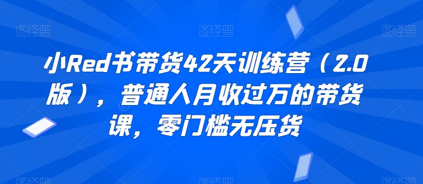 小Red书带货42天训练营（2.0版），普通人月收过万的带货课，零门槛无压货-第一精品资源库