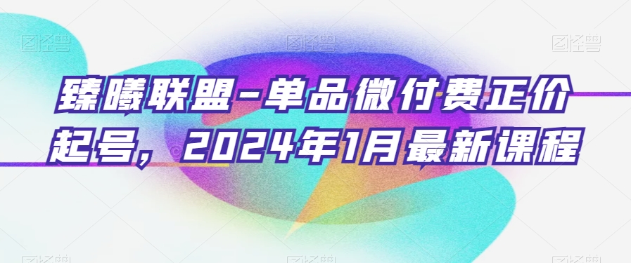 臻曦联盟-单品微付费正价起号，2024年1月最新课程-第一精品资源库