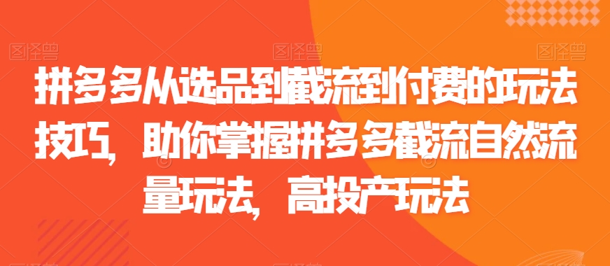 拼多多从选品到截流到付费的玩法技巧，助你掌握拼多多截流自然流量玩法，高投产玩法-第一精品资源库