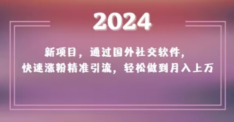 2024新项目，通过国外社交软件，快速涨粉精准引流，轻松做到月入上万【揭秘】-第一精品资源库