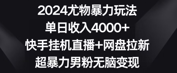 2024尤物暴力玩法，单日收入4000+，快手挂机直播+网盘拉新，超暴力男粉无脑变现【揭秘】-第一精品资源库