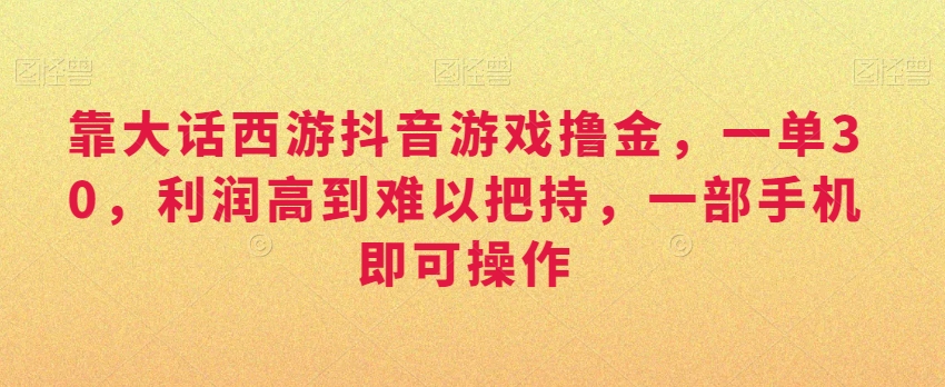 靠大话西游抖音游戏撸金，一单30，利润高到难以把持，一部手机即可操作，日入3000+【揭秘】-第一精品资源库
