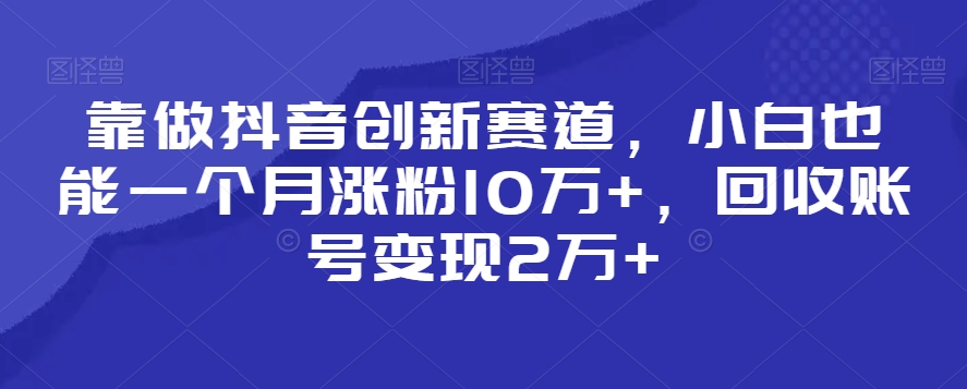 靠做抖音创新赛道，小白也能一个月涨粉10万+，回收账号变现2万+【揭秘】-第一精品资源库