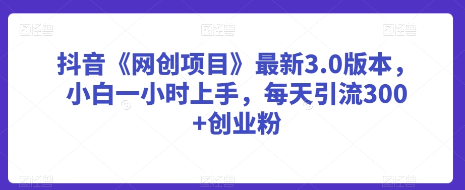 抖音《网创项目》最新3.0版本，小白一小时上手，每天引流300+创业粉【揭秘】-第一精品资源库