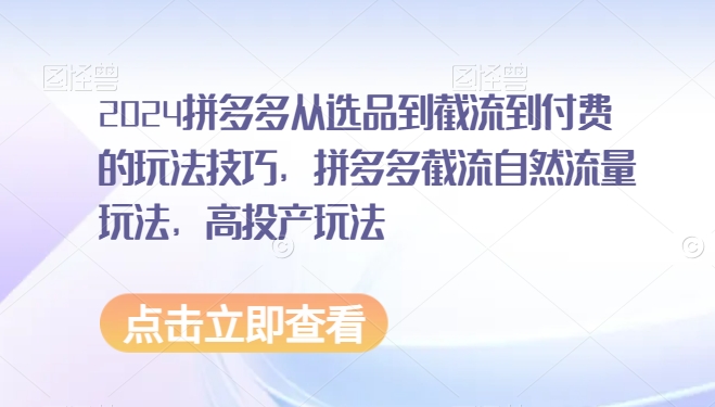 2024拼多多从选品到截流到付费的玩法技巧，拼多多截流自然流量玩法，高投产玩法-第一精品资源库