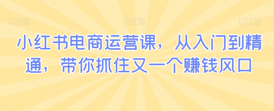 小红书电商运营课，从入门到精通，带你抓住又一个赚钱风口-第一精品资源库