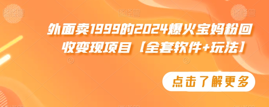 外面卖1999的2024爆火宝妈粉回收变现项目【全套软件+玩法】【揭秘】-第一精品资源库