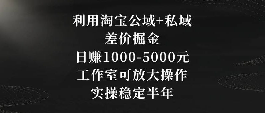利用淘宝公域+私域差价掘金，日赚1000-5000元，工作室可放大操作，实操稳定半年【揭秘】-第一精品资源库
