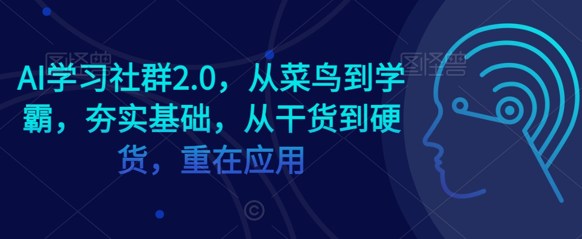AI学习社群2.0，从菜鸟到学霸，夯实基础，从干货到硬货，重在应用-第一精品资源库