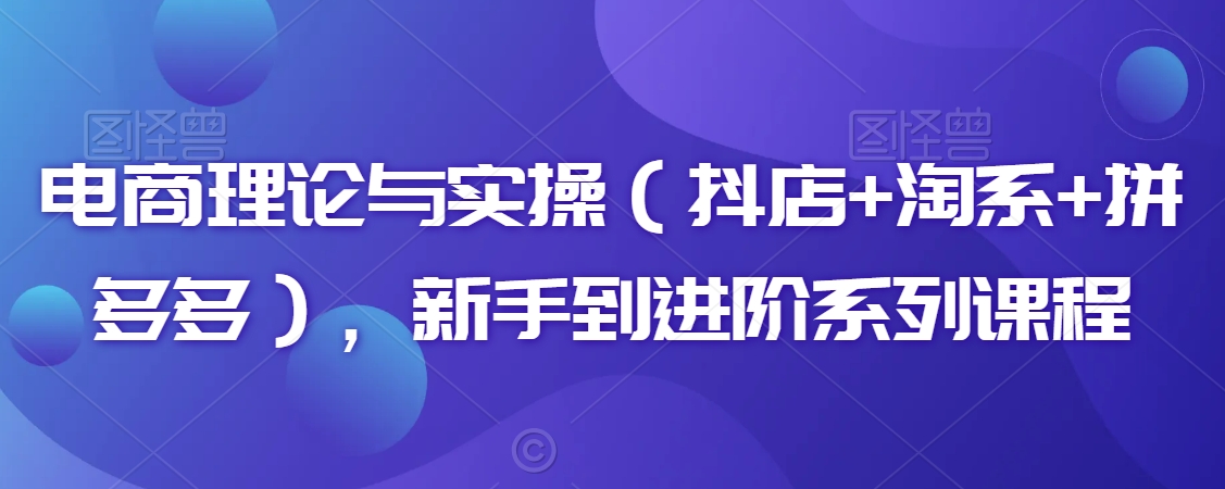 电商理论与实操（抖店+淘系+拼多多），新手到进阶系列课程-第一精品资源库