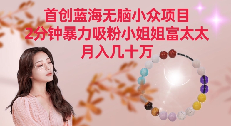 首创蓝海无脑小众项目，2分钟暴力吸粉小姐姐富太太，月入几十万【揭秘】-第一精品资源库