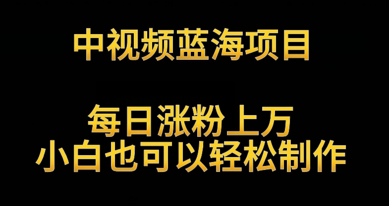 中视频蓝海项目，解读英雄人物生平，每日涨粉上万，小白也可以轻松制作，月入过万不是梦【揭秘】-第一精品资源库