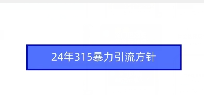 24年315暴力引流方针-第一精品资源库