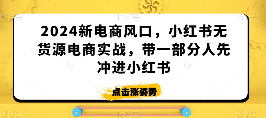 2024新电商风口，小红书无货源电商实战，带一部分人先冲进小红书-第一精品资源库
