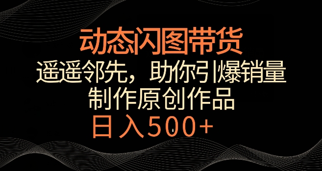 动态闪图带货，遥遥领先，冷门玩法，助你轻松引爆销量，日赚500+【揭秘】-第一精品资源库