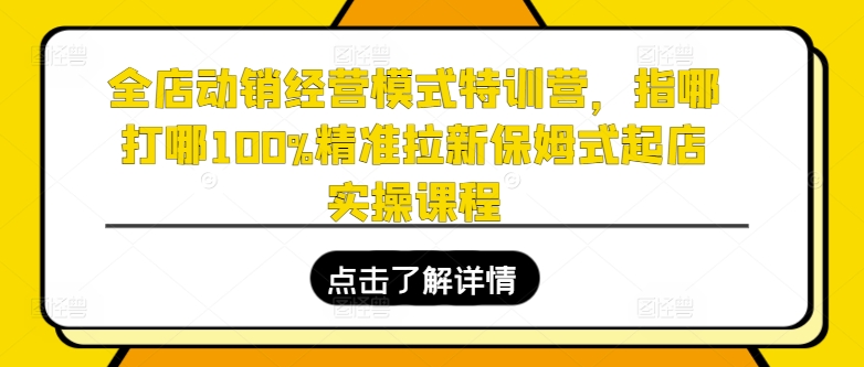 全店动销经营模式特训营，指哪打哪100%精准拉新保姆式起店实操课程-第一精品资源库