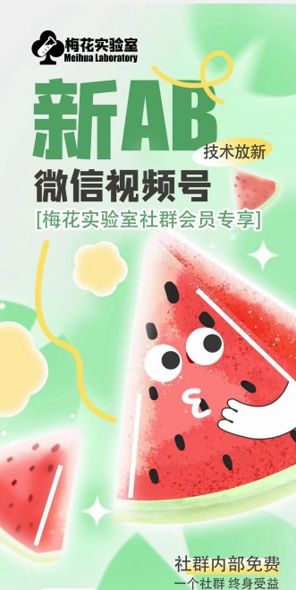 梅花实验室2024年AB技术视频号AB合成破解版-第一精品资源库
