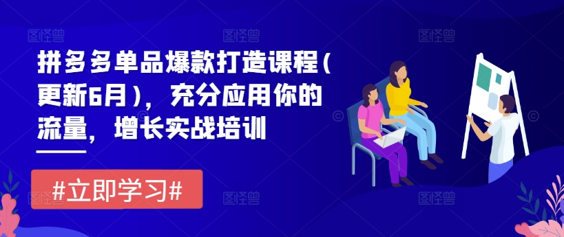 拼多多单品爆款打造课程(更新6月)，充分应用你的流量，增长实战培训-第一精品资源库