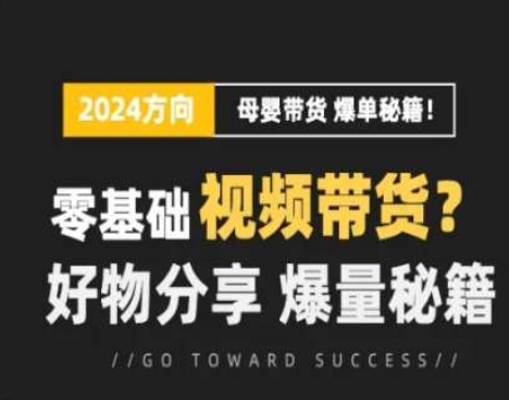 短视频母婴赛道实操流量训练营，零基础视频带货，好物分享，爆量秘籍-第一精品资源库