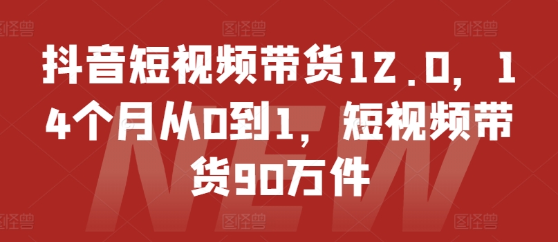 抖音短视频带货12.0，14个月从0到1，短视频带货90万件-第一精品资源库