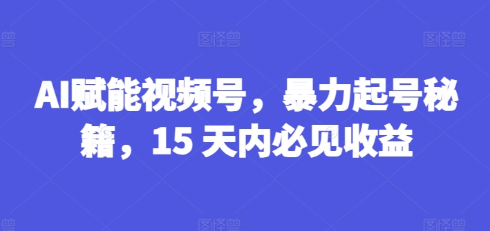 AI赋能视频号，暴力起号秘籍，15 天内必见收益【揭秘】-第一精品资源库