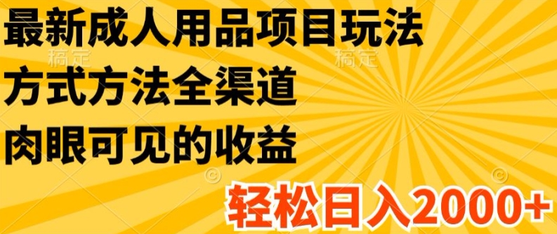 最新成人用品项目玩法，方式方法全渠道，轻松日入2K+【揭秘】-第一精品资源库