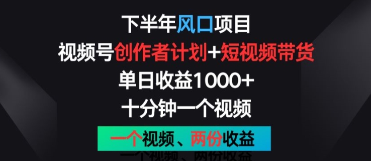 下半年风口项目，视频号创作者计划+视频带货，一个视频两份收益，十分钟一个视频【揭秘】-第一精品资源库