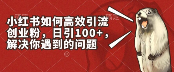 小红书如何高效引流创业粉，日引100+，解决你遇到的问题【揭秘】-第一精品资源库