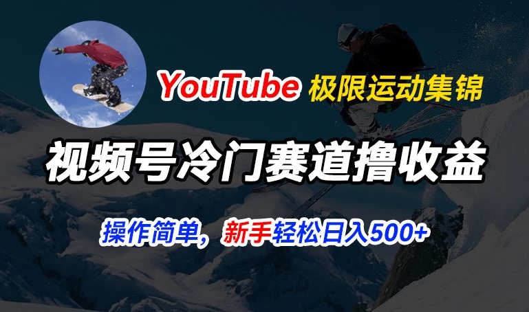 视频号冷门赛道撸收益，YouTube搬运极限运动集锦，暴力起号，操作简单流量高，轻松日入5张【揭秘】-第一精品资源库