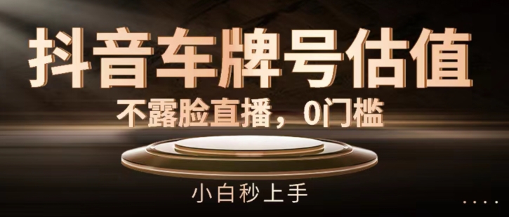 抖音车牌号估值，不露脸直播，0门槛，小白秒上手【揭秘】-第一精品资源库