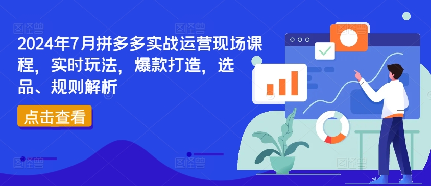 2024年7月拼多多实战运营现场课程，实时玩法，爆款打造，选品、规则解析-第一精品资源库