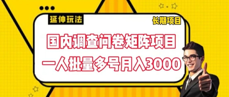 国内调查问卷矩阵项目，一人批量多号月入3000【揭秘】-第一精品资源库