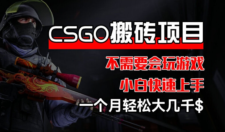 CSGO 装备搬砖项目，操作简单，不需要会玩游戏，小白也能快速上手，一个月轻松大几千【揭秘】-第一精品资源库