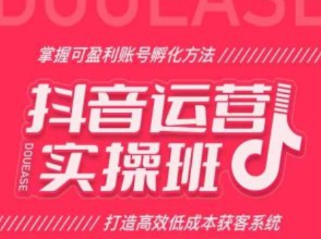 抖音运营实操班，掌握可盈利账号孵化方法，打造高效低成本获客系统-第一精品资源库
