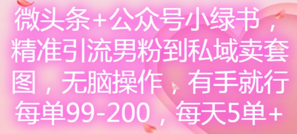 微头条+公众号小绿书，精准引流男粉到私域卖套图，无脑操作，有手就行，每单99-200，每天5单-第一精品资源库