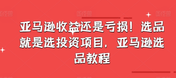 亚马逊收益还是亏损！选品就是选投资项目，亚马逊选品教程-第一精品资源库