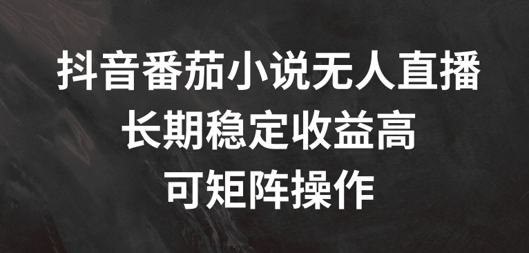 抖音番茄小说无人直播，长期稳定收益高，可矩阵操作【揭秘】-第一精品资源库