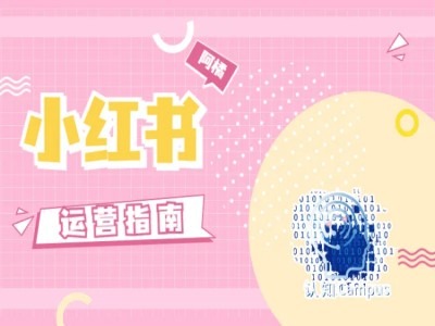 小红书运营指南，没有套路，全是经验-第一精品资源库