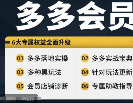 拼多多会员，拼多多实战宝典+实战落地实操，从新手到高阶内容全面覆盖-第一精品资源库