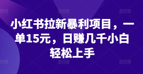 小红书拉新暴利项目，一单15元，日赚几千小白轻松上手【揭秘】-第一精品资源库