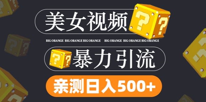 搬运tk美女视频全网分发，日引s粉300+，轻松变现，不限流量不封号【揭秘】-第一精品资源库