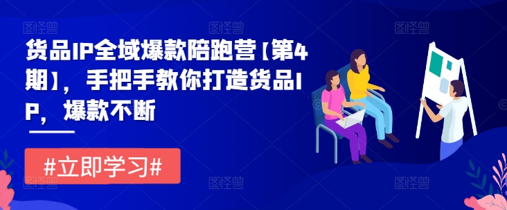 货品IP全域爆款陪跑营【第4期】，手把手教你打造货品IP，爆款不断-第一精品资源库