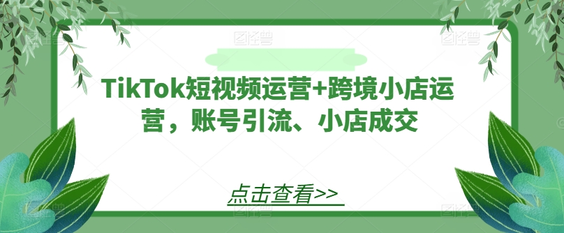 TikTok短视频运营+跨境小店运营，账号引流、小店成交-第一精品资源库