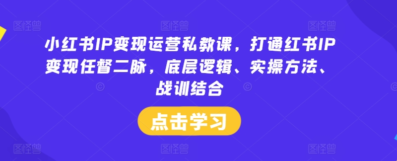 小红书IP变现运营私教课，打通红书IP变现任督二脉，底层逻辑、实操方法、战训结合-第一精品资源库