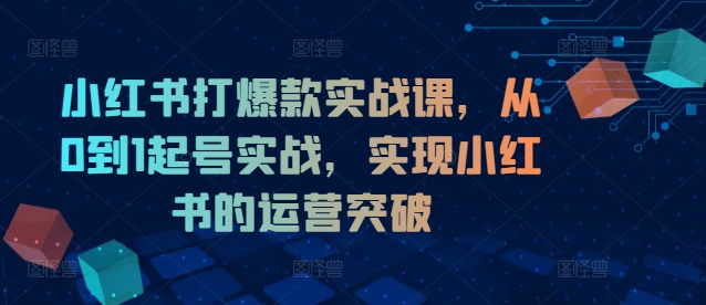 小红书打爆款实战课，从0到1起号实战，实现小红书的运营突破-第一精品资源库