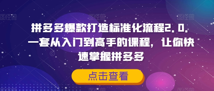 拼多多爆款打造标准化流程2.0，一套从入门到高手的课程，让你快速掌握拼多多-第一精品资源库