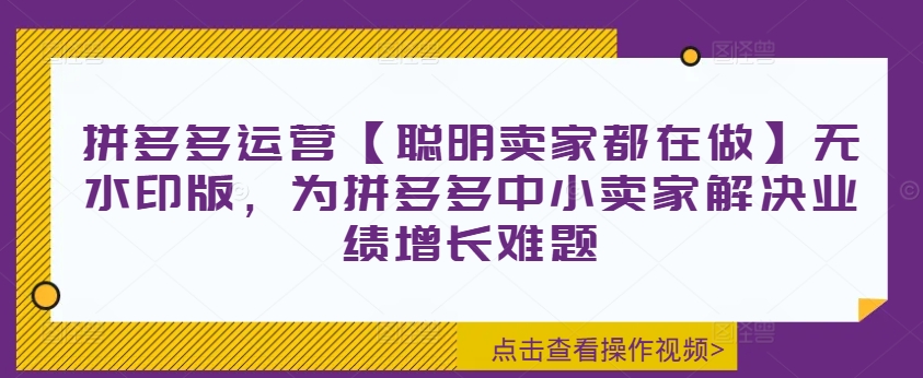 拼多多运营【聪明卖家都在做】无水印版，为拼多多中小卖家解决业绩增长难题-第一精品资源库