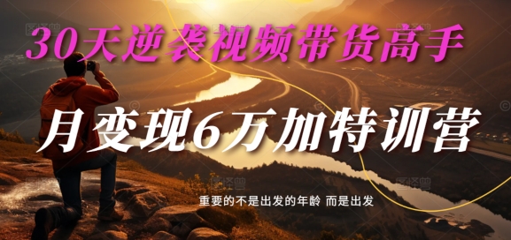 30天逆袭视频带货高手，单月变现6万加特训营-麦子甜-第一精品资源库