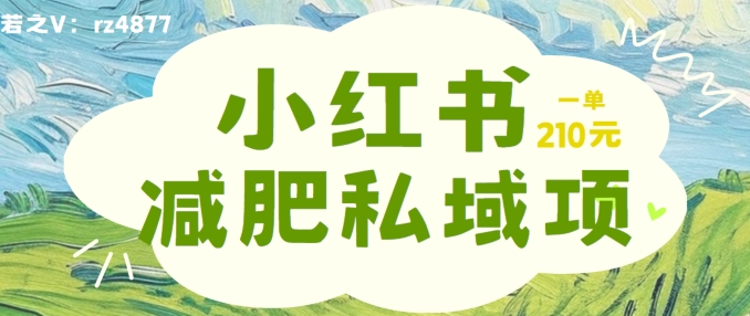 小红书减肥粉，私域变现项目，一单就达210元，小白也能轻松上手【揭秘】-第一精品资源库