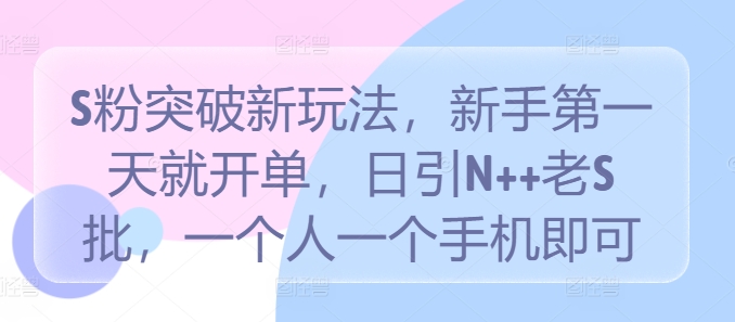 S粉突破新玩法，新手第一天就开单，日引N++老S批，一个人一个手机即可【揭秘】-第一精品资源库